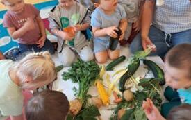 Galeria aktualności OG&Oacute;LONPOLSKI PROJEKT EDUKACYJNY &bdquo;Z przyrodą za pan brat &ndash; mały badacz wielki odkrywca&rdquo; 8