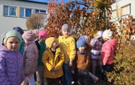 Galeria aktualności OG&Oacute;LONPOLSKI PROJEKT EDUKACYJNY &bdquo;Z przyrodą za pan brat &ndash; mały badacz wielki odkrywca&rdquo; 11