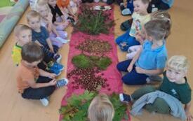 Galeria aktualności OG&Oacute;LONPOLSKI PROJEKT EDUKACYJNY &bdquo;Z przyrodą za pan brat &ndash; mały badacz wielki odkrywca&rdquo; 15
