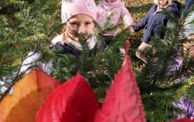 Galeria aktualności OG&Oacute;LONPOLSKI PROJEKT EDUKACYJNY &bdquo;Z przyrodą za pan brat &ndash; mały badacz wielki odkrywca&rdquo; 16