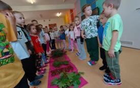 Galeria aktualności OG&Oacute;LONPOLSKI PROJEKT EDUKACYJNY &bdquo;Z przyrodą za pan brat &ndash; mały badacz wielki odkrywca&rdquo; 26
