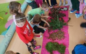 Galeria aktualności OG&Oacute;LONPOLSKI PROJEKT EDUKACYJNY &bdquo;Z przyrodą za pan brat &ndash; mały badacz wielki odkrywca&rdquo; 28