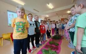 Galeria aktualności OG&Oacute;LONPOLSKI PROJEKT EDUKACYJNY &bdquo;Z przyrodą za pan brat &ndash; mały badacz wielki odkrywca&rdquo; 27