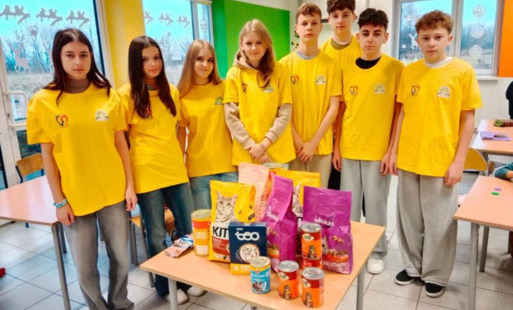 Zdjęcie do Zbi&oacute;rka karmy dla kot&oacute;w.
